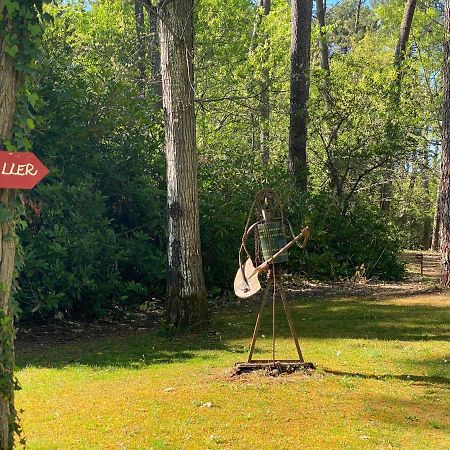 Le Petit Poulailler Au Beau Milieu Des Pins Βίλα Lacanau Εξωτερικό φωτογραφία