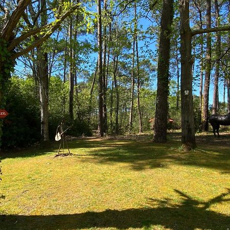 Le Petit Poulailler Au Beau Milieu Des Pins Βίλα Lacanau Εξωτερικό φωτογραφία
