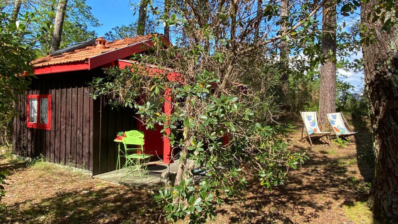 Le Petit Poulailler Au Beau Milieu Des Pins Βίλα Lacanau Εξωτερικό φωτογραφία