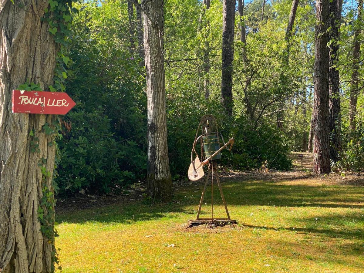 Le Petit Poulailler Au Beau Milieu Des Pins Βίλα Lacanau Εξωτερικό φωτογραφία