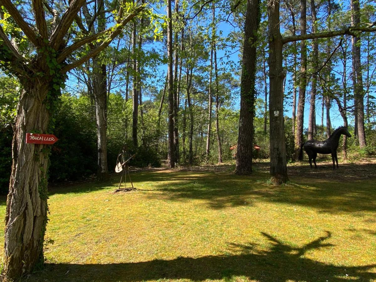 Le Petit Poulailler Au Beau Milieu Des Pins Βίλα Lacanau Εξωτερικό φωτογραφία