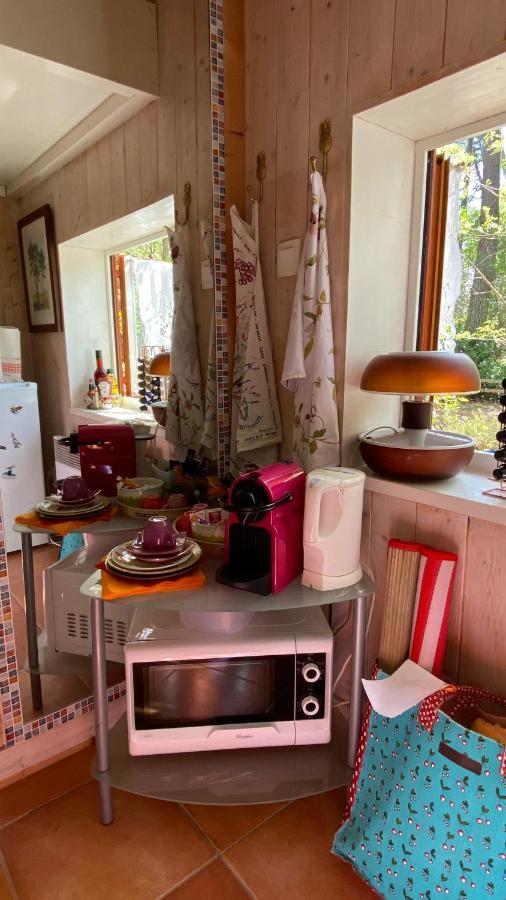 Le Petit Poulailler Au Beau Milieu Des Pins Βίλα Lacanau Εξωτερικό φωτογραφία