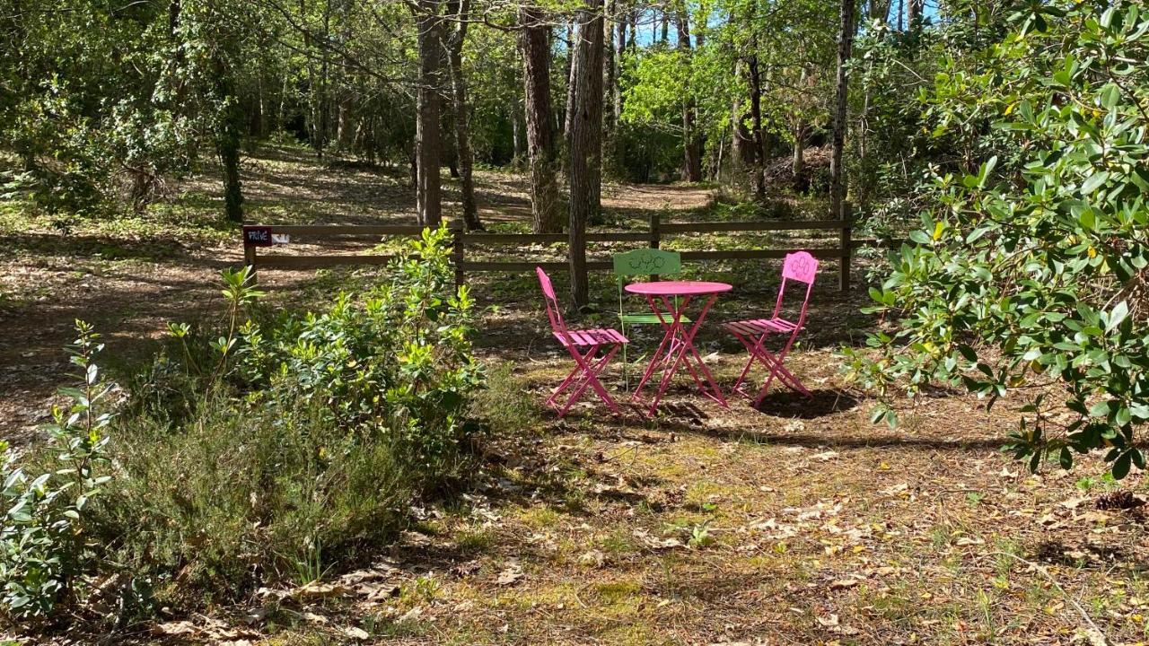 Le Petit Poulailler Au Beau Milieu Des Pins Βίλα Lacanau Εξωτερικό φωτογραφία